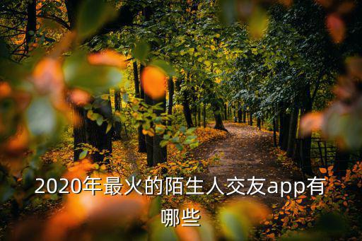 2020年最火的陌生人交友app有哪些