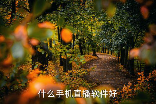 水星app手机直播，手机直播软件哪个好
