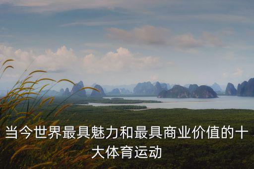 当今世界最具魅力和最具商业价值的十大体育运动