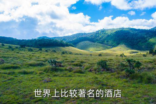 世界上比较著名的酒店