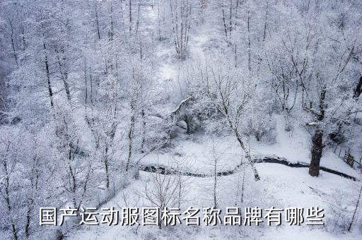运动装品牌标志logo大全图片，名牌运动服商标的图片