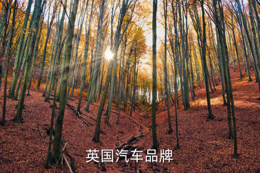英国汽车品牌