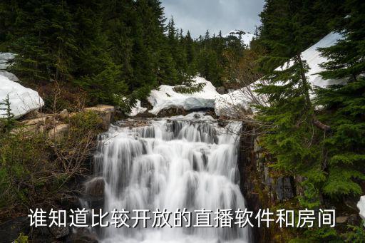 比较放得开的几个在线直播平台，谁知道比较开放的直播软件和房间