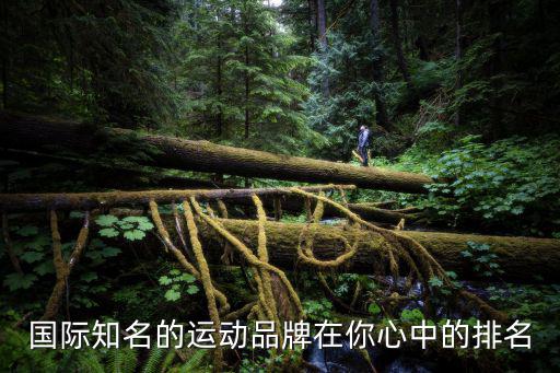 国际知名的运动品牌在你心中的排名