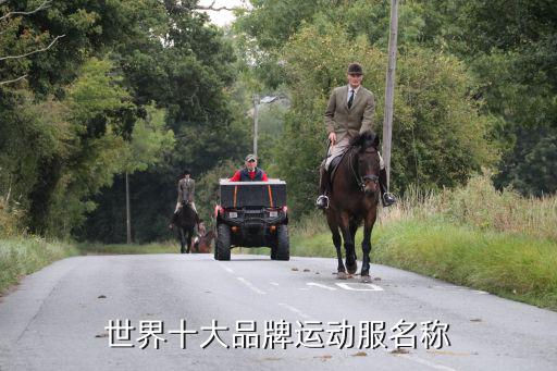 世界十大顶级运动服排名第一，国际第一品牌运动服是哪个名牌