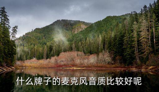 什么牌子的麦克风音质比较好呢