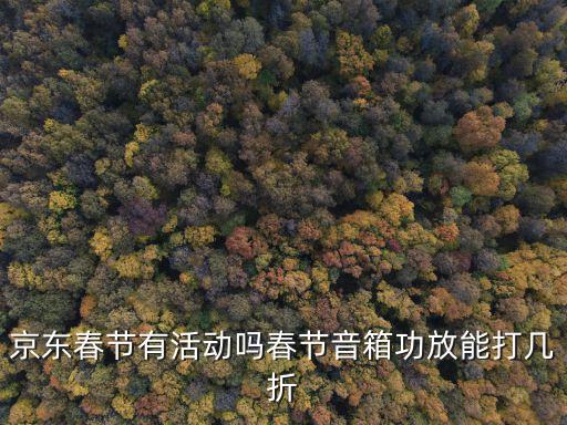 京东春节有活动吗春节音箱功放能打几折