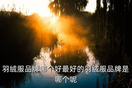 羽绒服品牌哪个好最好的羽绒服品牌是哪个呢
