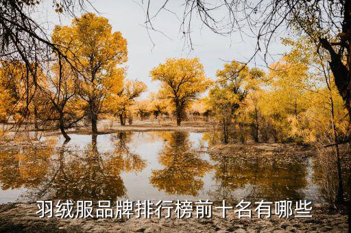 羽绒服品牌排行榜前十名有哪些