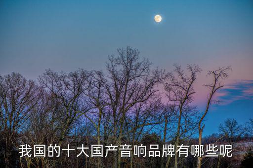 10大音响品牌排行榜，我国的十大国产音响品牌有哪些呢
