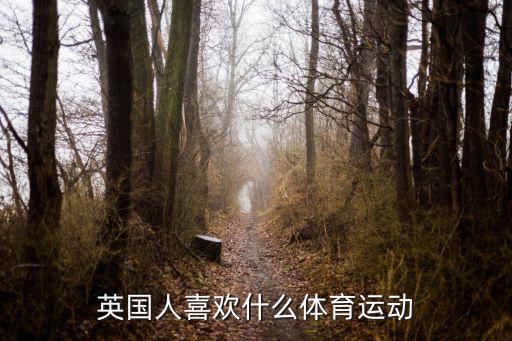 英国人喜欢什么体育运动
