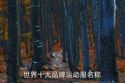 世界十大品牌运动服名称