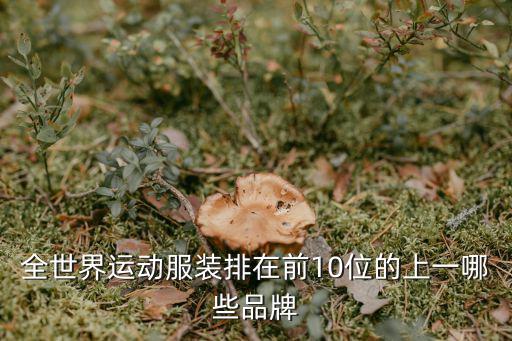 全世界运动服装排在前10位的上一哪些品牌