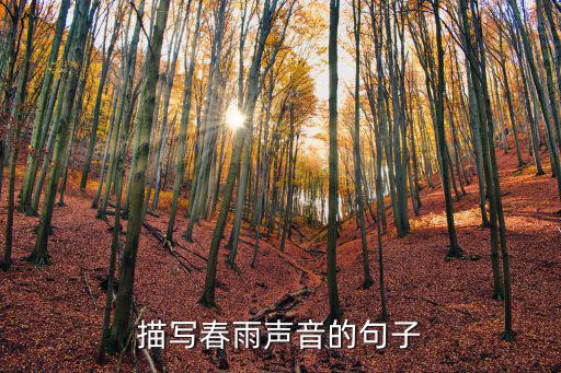 描写春雨声音的句子