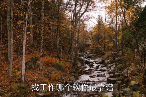 美国时尚找工作软件哪个好，美国的中文找工作网站有哪些
