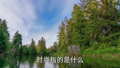 时尚指的是什么