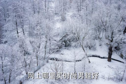 网上哪里买时尚男鞋好