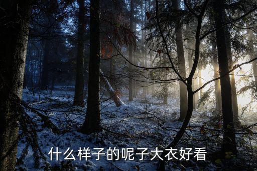 哪个的呢子大衣好看时尚，什么样子的呢子大衣好看