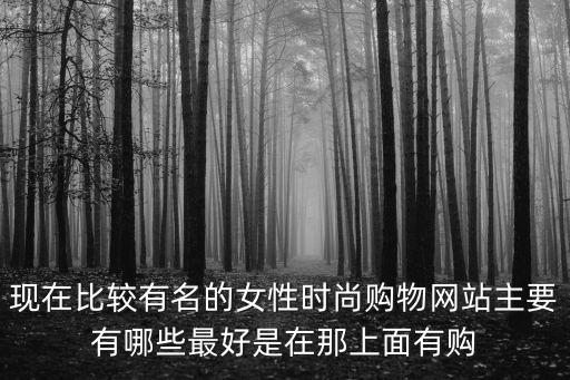 现在比较有名的女性时尚购物网站主要有哪些最好是在那上面有购