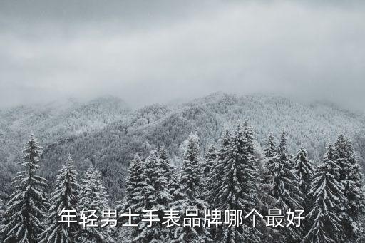 ole和时尚男表哪个好，年轻男士手表品牌哪个最好