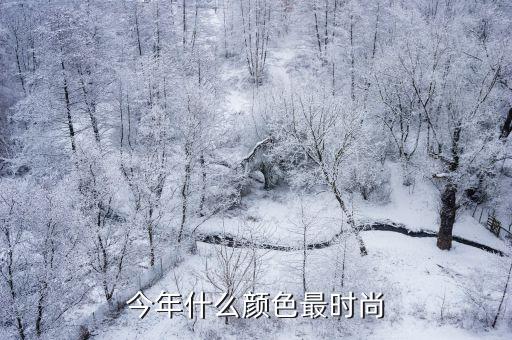 今年什么颜色最时尚