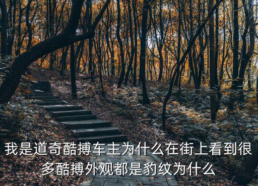 我是道奇酷搏车主为什么在街上看到很多酷搏外观都是豹纹为什么
