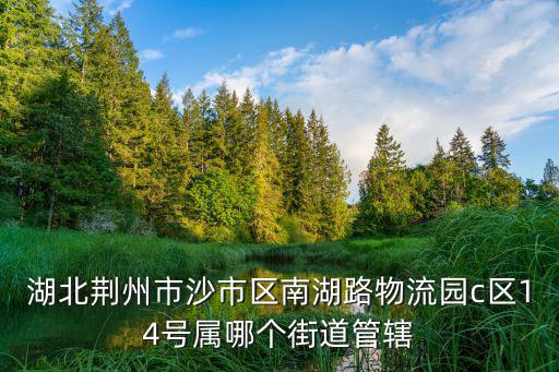 荆州时尚豪庭属于哪个社区，湖北荆州市沙市区南湖路物流园c区14号属哪个街道管辖