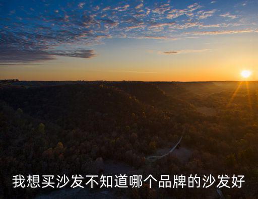 我想买沙发不知道哪个品牌的沙发好