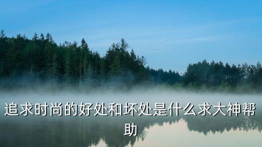 追求时尚的好处和坏处是什么求大神帮助