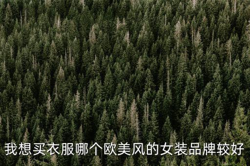 我想买衣服哪个欧美风的女装品牌较好