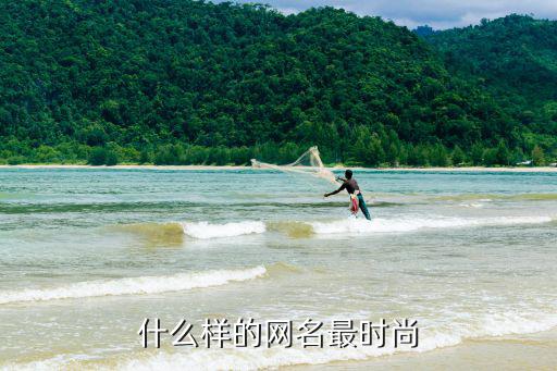 取什么网名很时尚，有什么时尚的网名