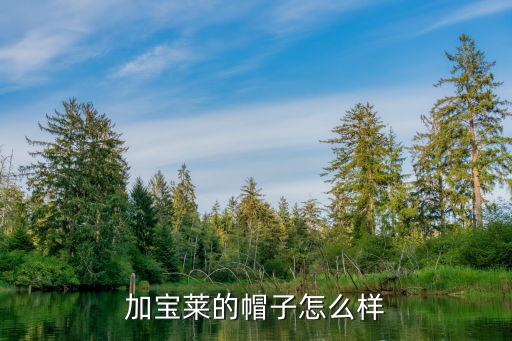 加宝莱的帽子怎么样