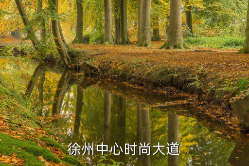 中心时尚大道是哪个公司的，徐州的来中心时尚大道下面有个牌子卖包的 叫什么名字