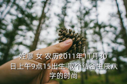 姓廖 女 农历2011年11月30日上午9点15出生 取个结合生辰八字的时尚
