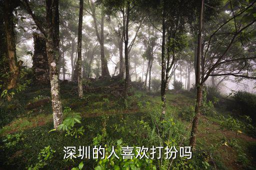 深圳的人喜欢打扮吗