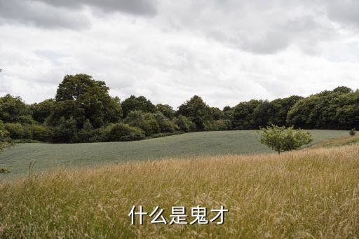 时尚鬼才是什么，鬼才是什么意思