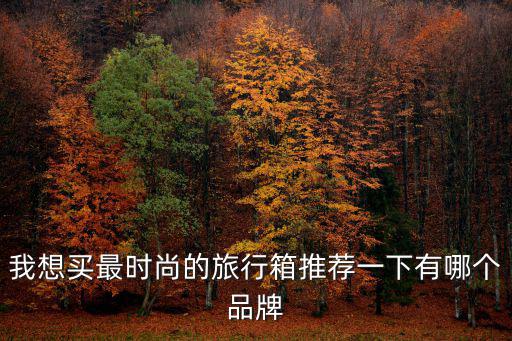 时尚旅行箱哪个品牌好，拉杆旅行箱什么牌子好