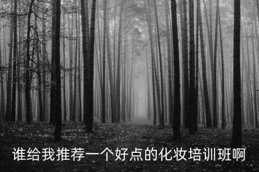 谁给我推荐一个好点的化妆培训班啊