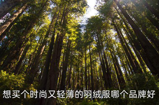 羽绒服选哪个既时尚，选羽绒服哪个牌子要时尚点
