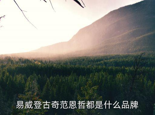 易威登古奇范恩哲都是什么品牌