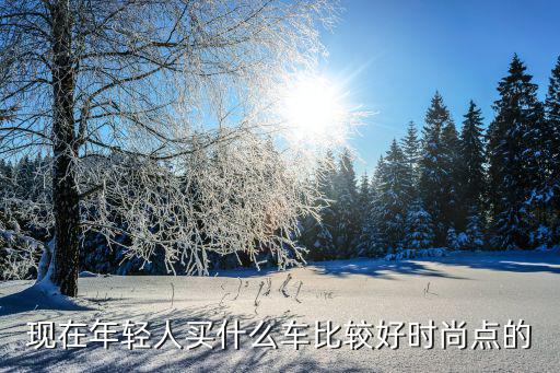 现在年轻人买什么车比较好时尚点的