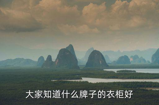 依若时尚衣橱推荐品牌是哪个，衣柜买什么品牌好