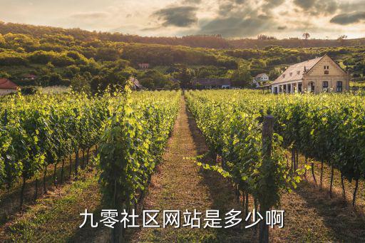 九零社区网站是多少啊