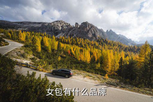 女包有什么品牌