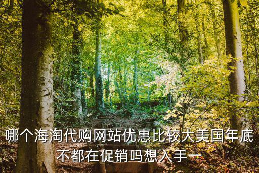 哪个海淘代购网站优惠比较大美国年底不都在促销吗想入手一