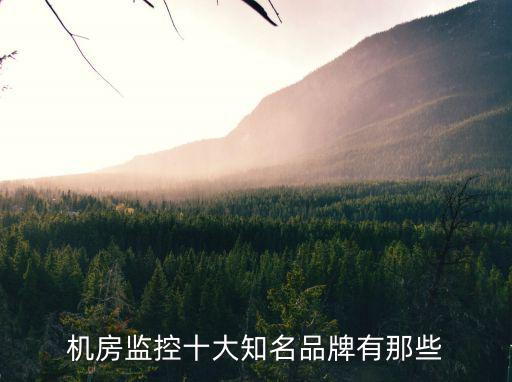 机房监控十大知名品牌有那些