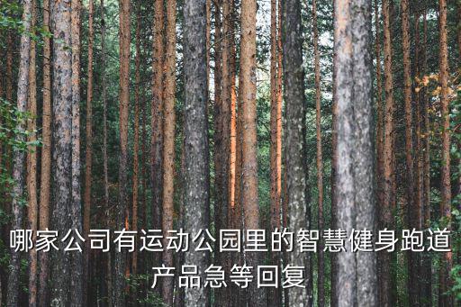 哪家公司有运动公园里的智慧健身跑道产品急等回复