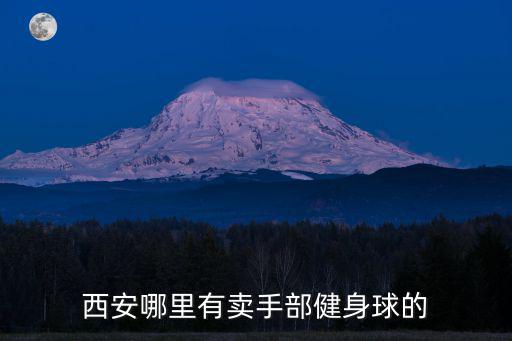 西安哪里有卖手部健身球的