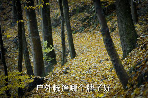 户外帐篷顶级品牌排行榜，顶级的户外品牌排名