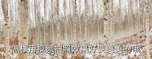 怎么样拍视频拍出来的效果好啊，怎么样才能让视频拍的更好